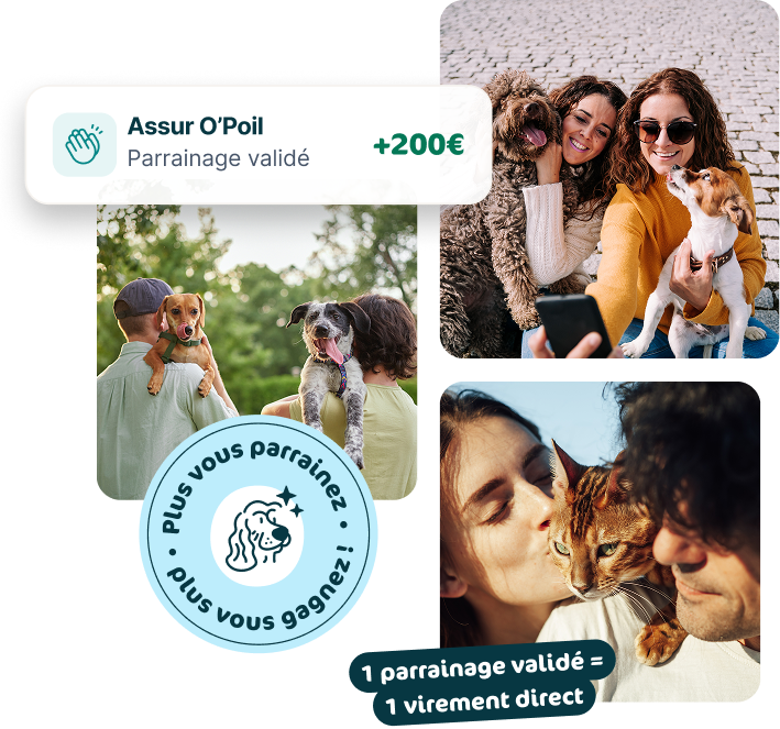 Offre parrainage Assur'O Poil