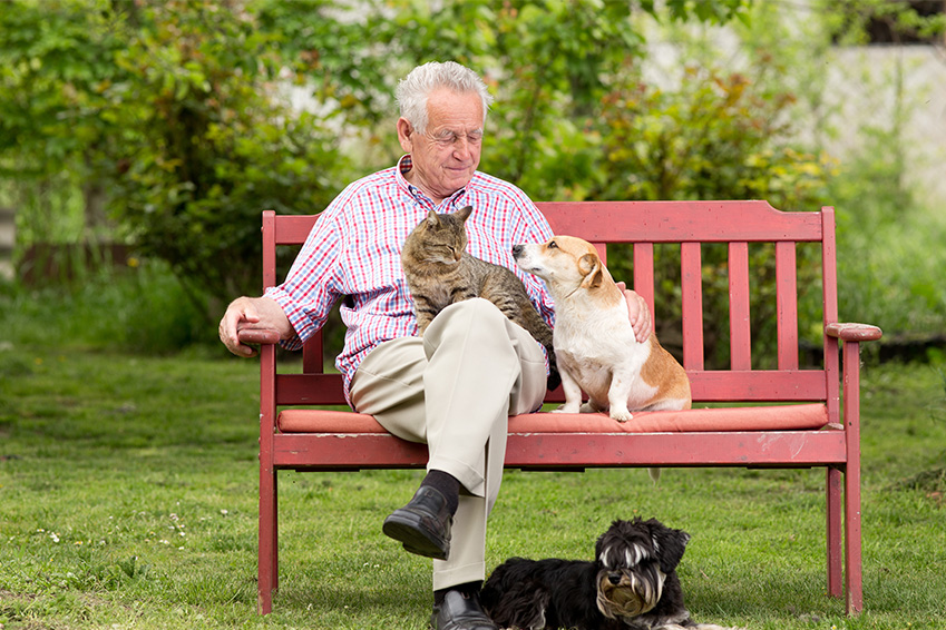 garantie assistance une aide