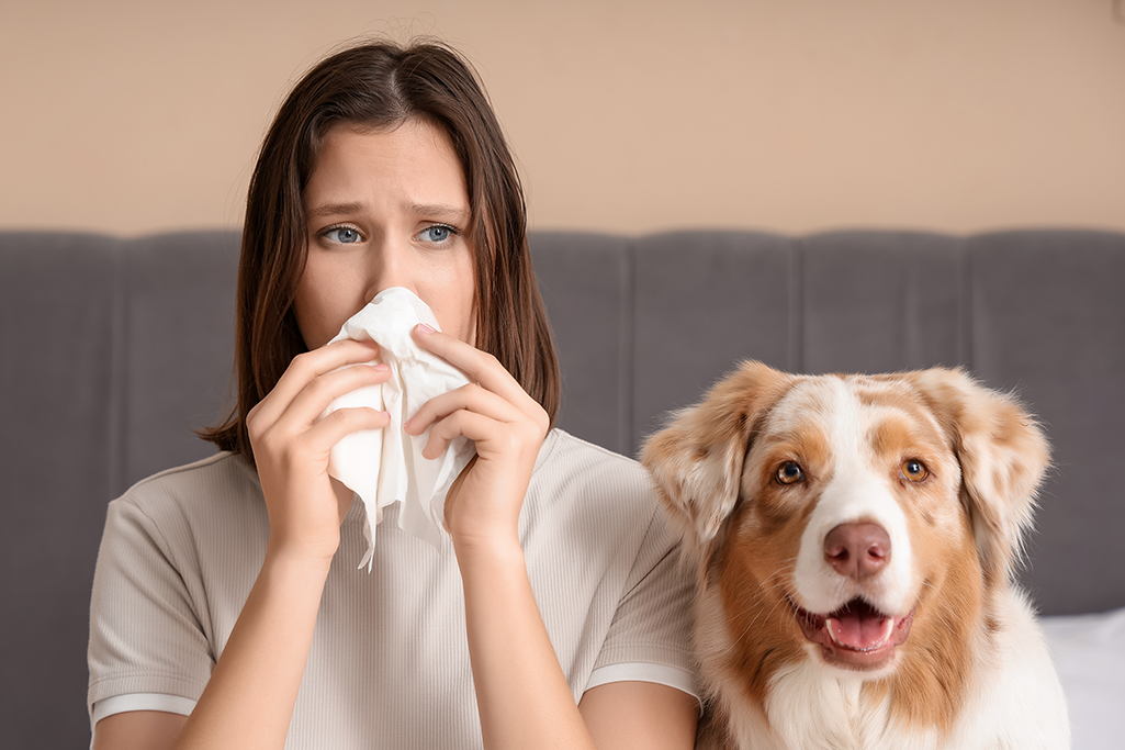 je suis allergique aux poils de chien
