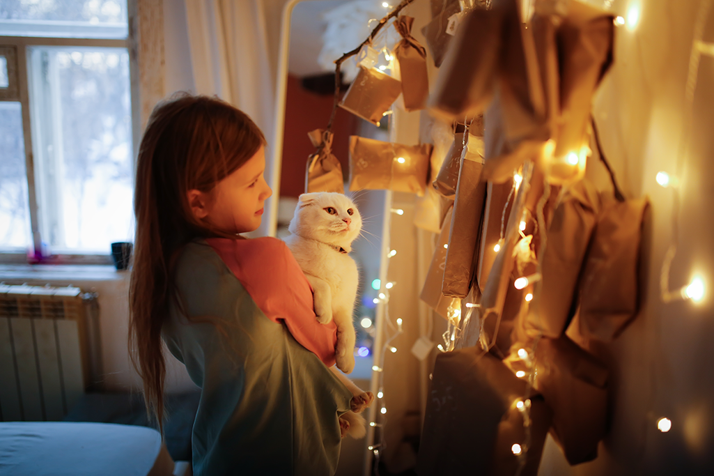 choisir un calendrier de l'avent pour son chat